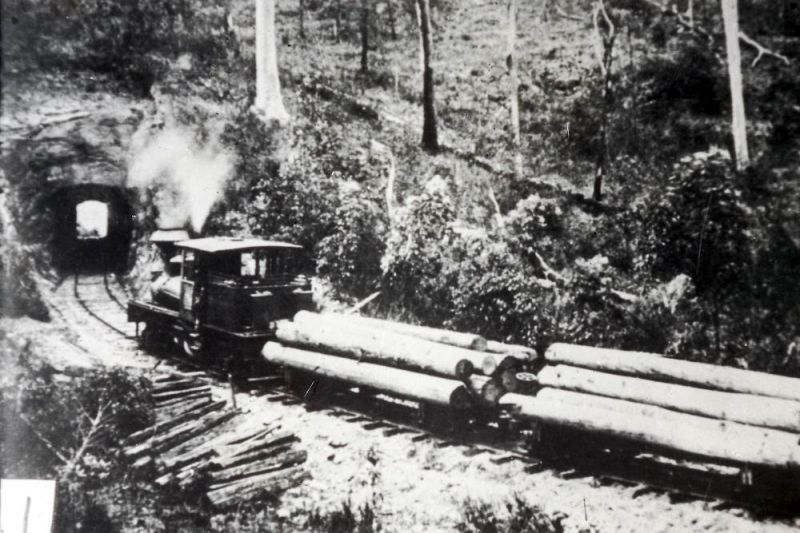 Locomotives on Queensland private railways - ARHS Qld
Slide 1 -  Lahey's Tramway Shay locomotive - Canungra area
