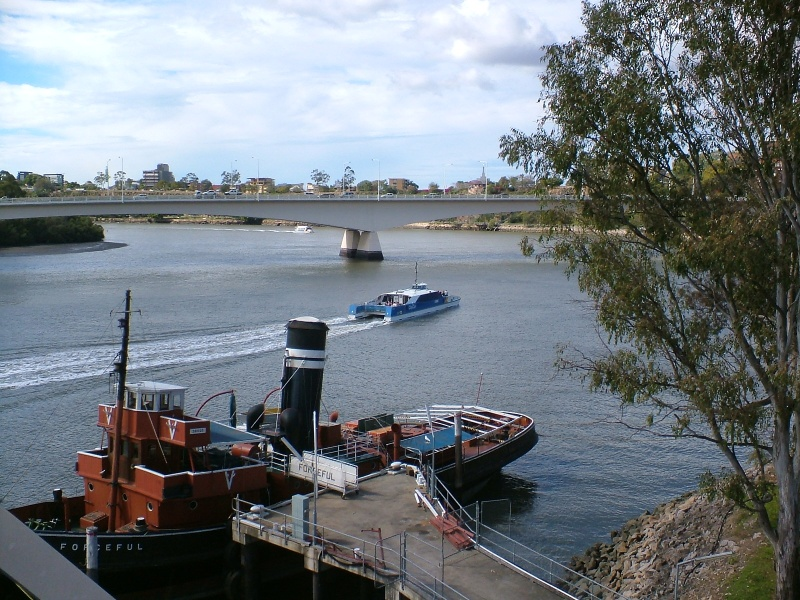 Forceful and a CityCat
Tug boat Forceful  and a CityCat
July 2008
Forceful was scrapped 2023.
https://en.wikipedia.org/wiki/Forceful_(tugboat)

