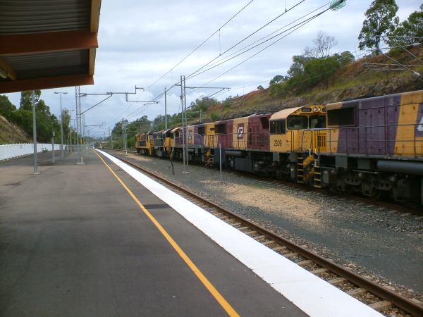 Gympie North
