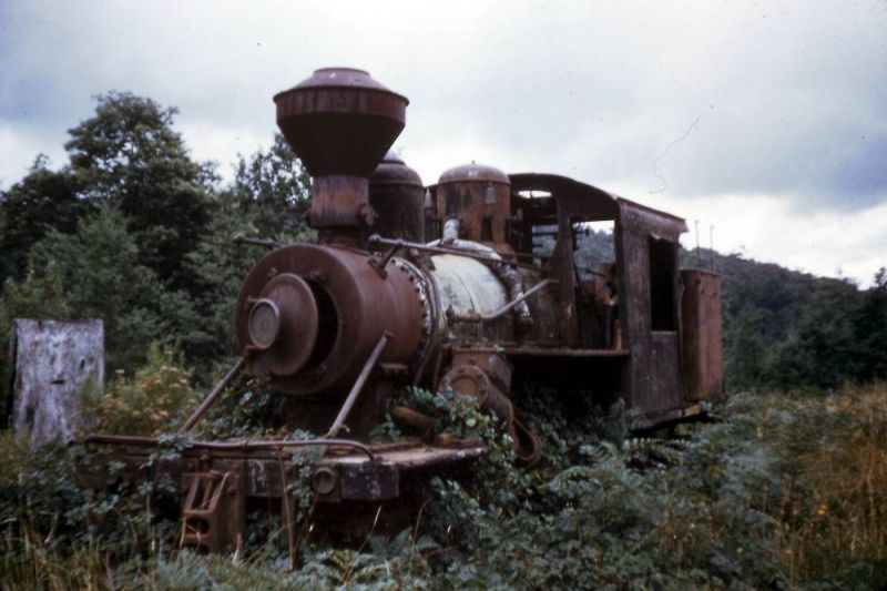 Climax 1694 at Erica 1957
A remarkable restoration by Puffing Billy Preservation Society
 was abandoned at Erica now runs at Belgrave. 1694 worked the Tyers Valley Tramway, which carried sawn timber from Growlers Creek and Ten Acre Block, via Tyers Junction to Collins Siding on the VR Moe – Walhalla 2' 6" railway. Tramway closed 1949, 1694 moved to Erica.
