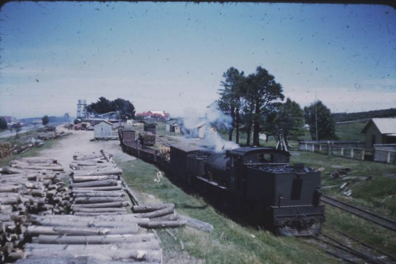 G41 Beech Forest
G41 shunting at Beech Forest 1959
